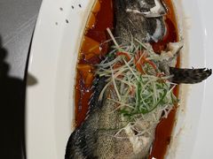 清蒸龙胆鱼-神洲四海大酒楼(王府井澳门中心店)