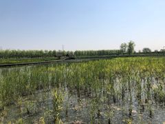 -永定河休闲森林公园