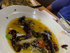 -宋小谨(惠安禹洲店)