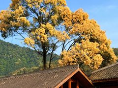 -赤水丹霞旅游区·大瀑布