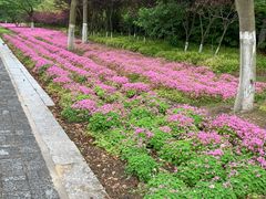 -上海海事大学(临港校区)
