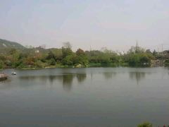 -桃花岛景观公园