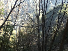 景点-大明山自然探索公园