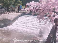 -山叶口景区