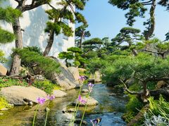 -罗红摄影艺术馆