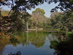 -望江楼公园