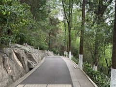 -富乐山
