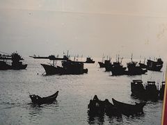 -映像威海·海鲜味道(经区店)