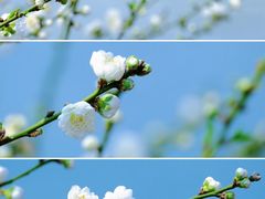 -西湖公园(鼓楼区)