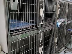 -汪喵宠物医院·骨科心脏影像·犬猫急重症ICU诊疗中心(成华分院)