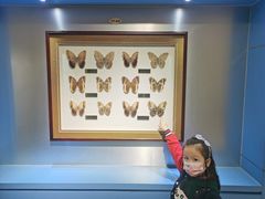 -上海昆虫博物馆