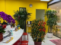 -佳禾国际美术书法教育(仁恒伊势丹校区)