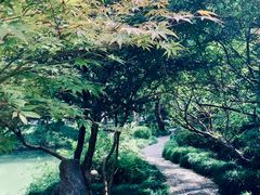 -上海醉白池公园