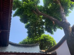 -福建省非物质文化遗产博览苑