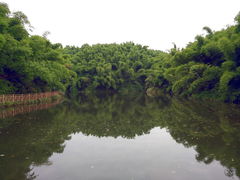 -沐川竹海旅游景区