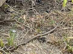 -天津东丽湖风景区