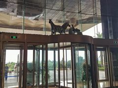 -舟山希尔顿酒店