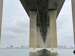 -中澳友谊花园