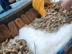 -九寸花汀(摩天活力城店)
