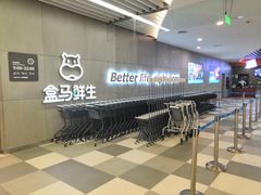 -盒马鲜生(财富中心店)