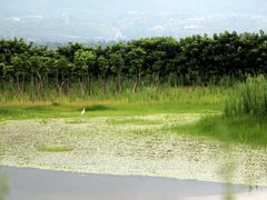 -西昌邛海湿地