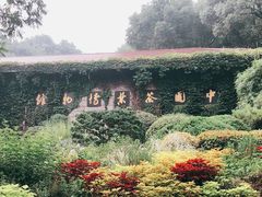 -中国茶叶博物馆(双峰馆区)