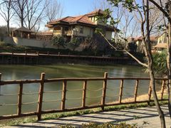 -思念果岭悦温泉