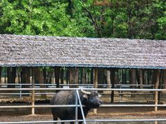 -秦皇岛野生动物园