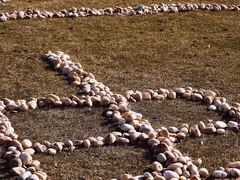 -盘龙城国家考古遗址公园