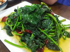 炒苕尖-成都味道(望江西路店)
