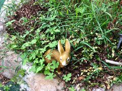-朗诗常青藤养老(五马渡店)