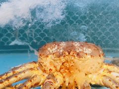 -顺意·顺德家乡菜(国际人才大厦店)