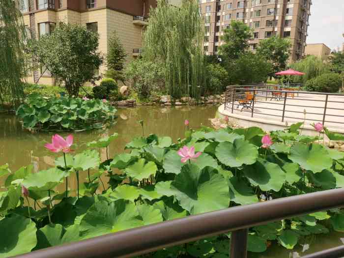 阳光五彩城养老院-"目前东北三省来说最好的医养一体的养老院,.