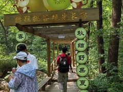 -大岭沟猕猴桃谷风景区