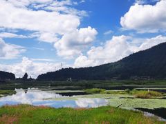 -腾冲北海湿地