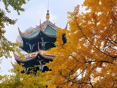 -望江楼公园