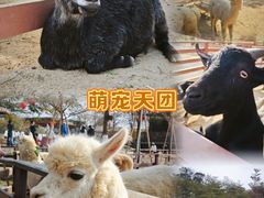 -盈香心动乐园