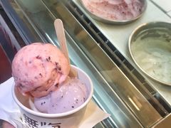 -歎雪糕低糖低脂Gelato冰淇淋