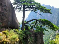 -黄山风景区