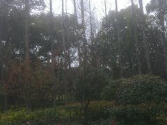 -徐家汇源景区-衡山公园
