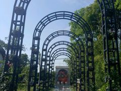 -金山农民画村-枫泾波兰倒置屋
