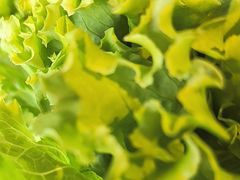 -老员外骨汤火锅(海州古城店)