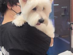 -FAELING PETS美天灵宠物(富力广场店)