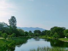 -雅达·阳羡溪山小镇中心