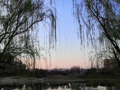 -沙澧河风景区