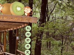 -大岭沟猕猴桃谷风景区