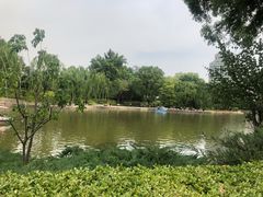 -团结湖公园