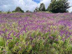 -华侨城阳宗海海景温泉