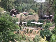 -厦门园林植物园-植物园滴水山房