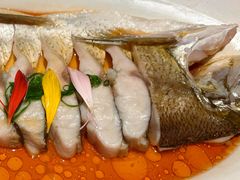 -醉庐·新上海菜(南京西路店)